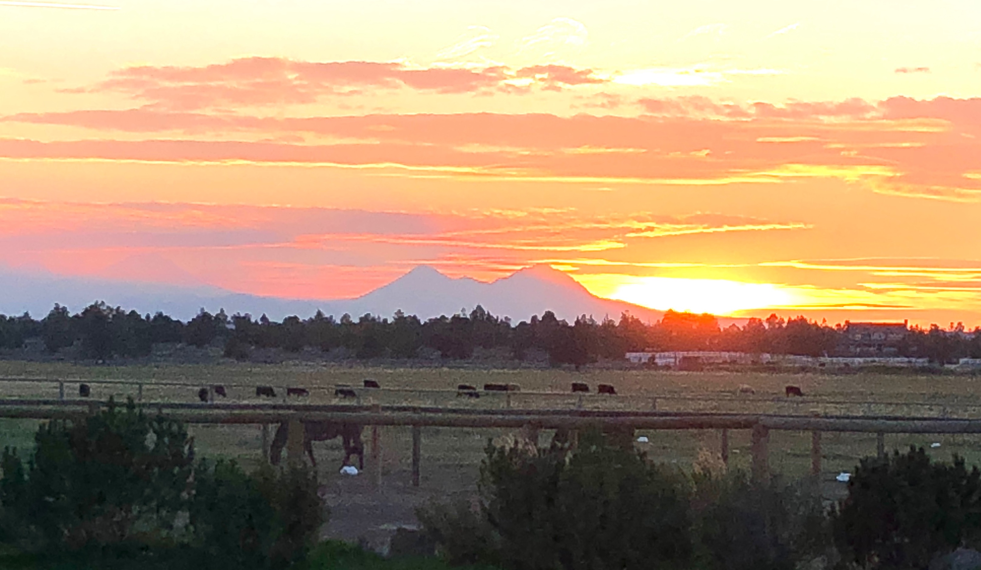 Sunset on the Ranch. Uploaded by Flying Flower Ranch, LLC