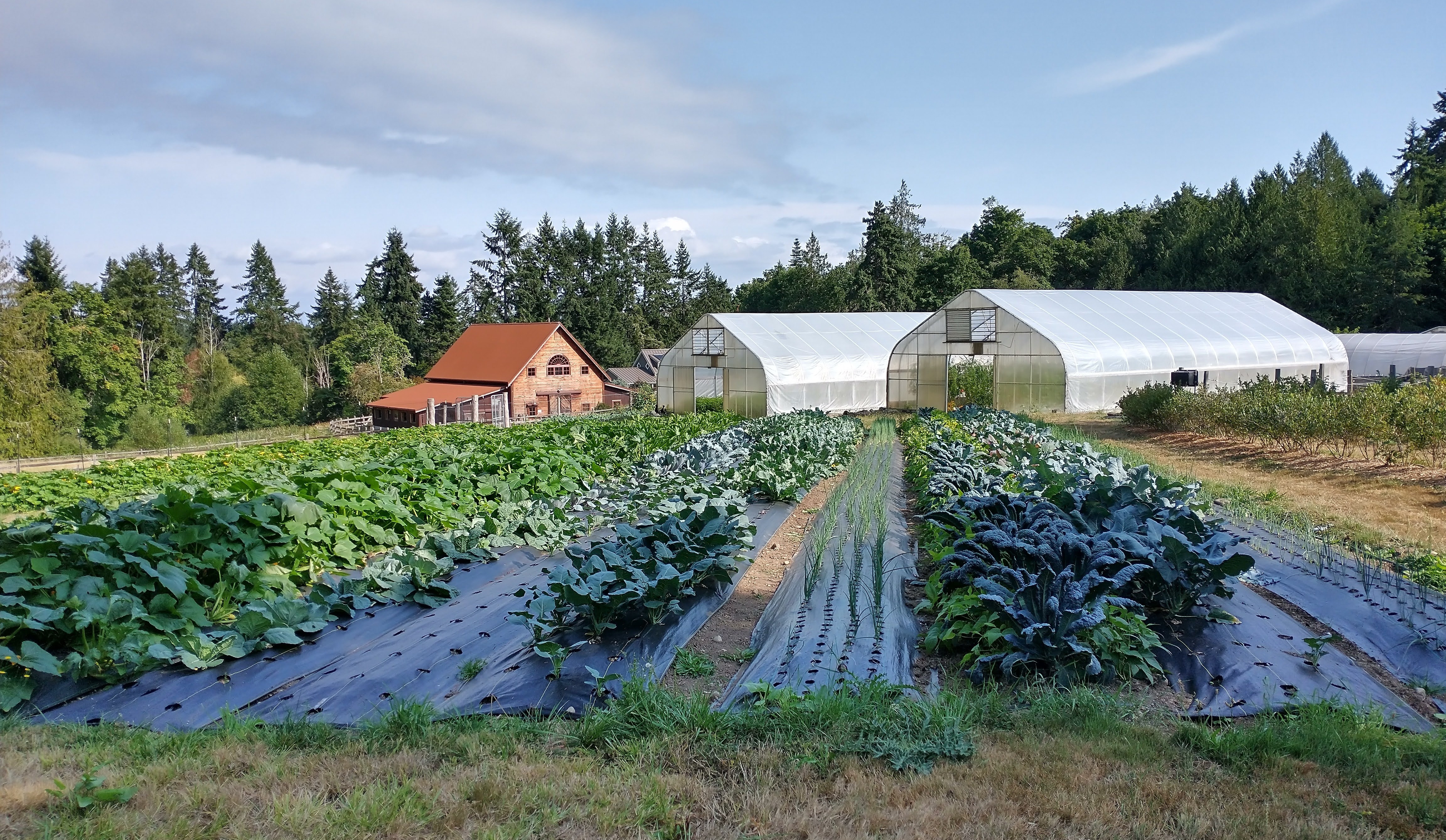 Upper Fields and Greenhouses @ Heyday Farm. Uploaded by Heyday Farm