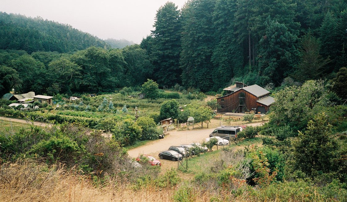 View of the Barn and Orchard. Uploaded by Oz Farm, LLC